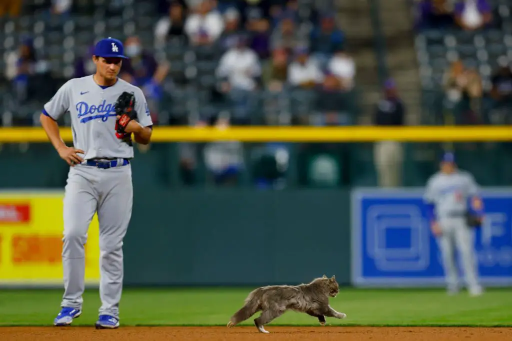 Dodgers travel guide: Coors Field in Denver, home of the Rockies - True  Blue LA