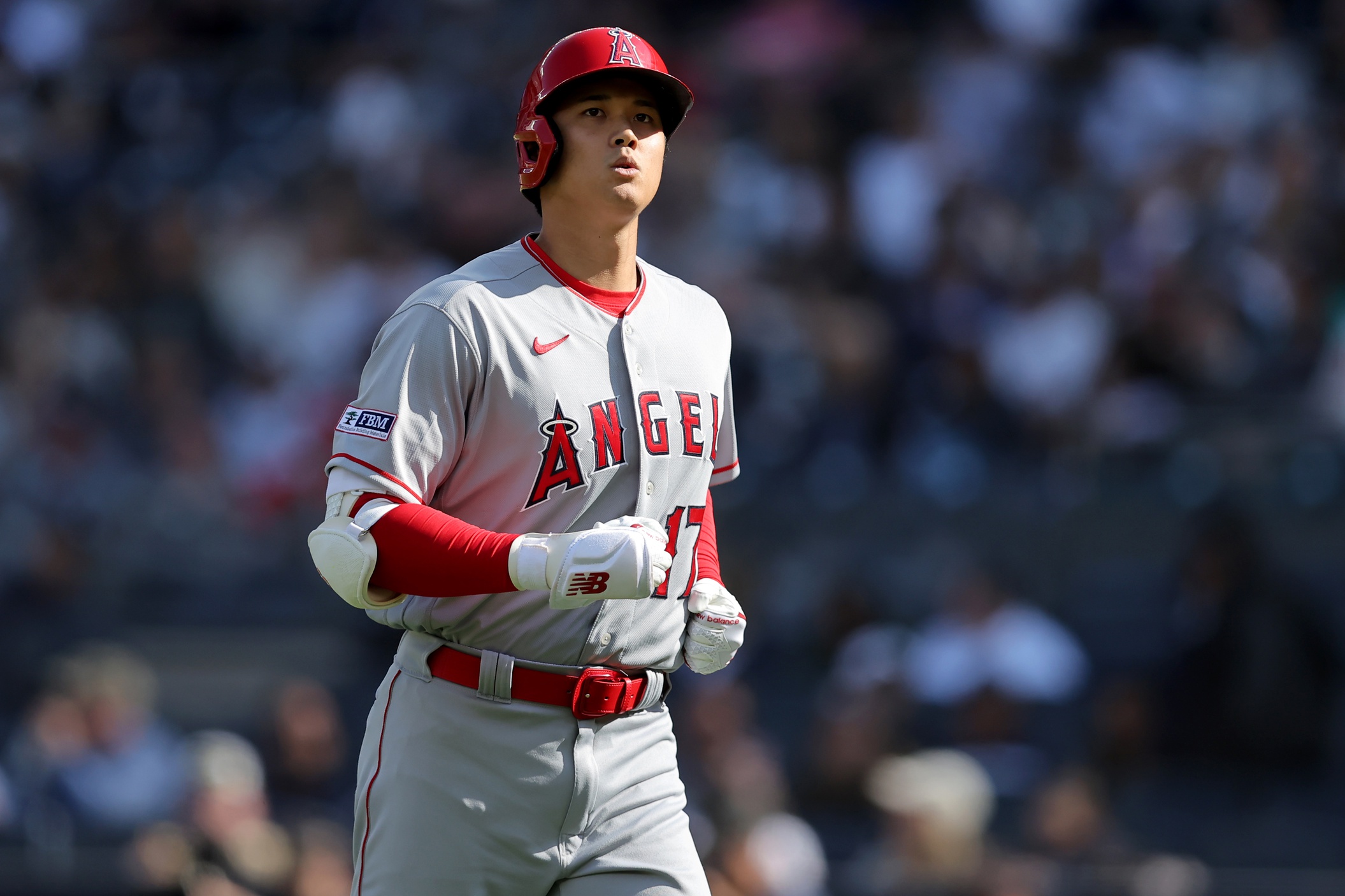 Noah's comment today : r/angelsbaseball