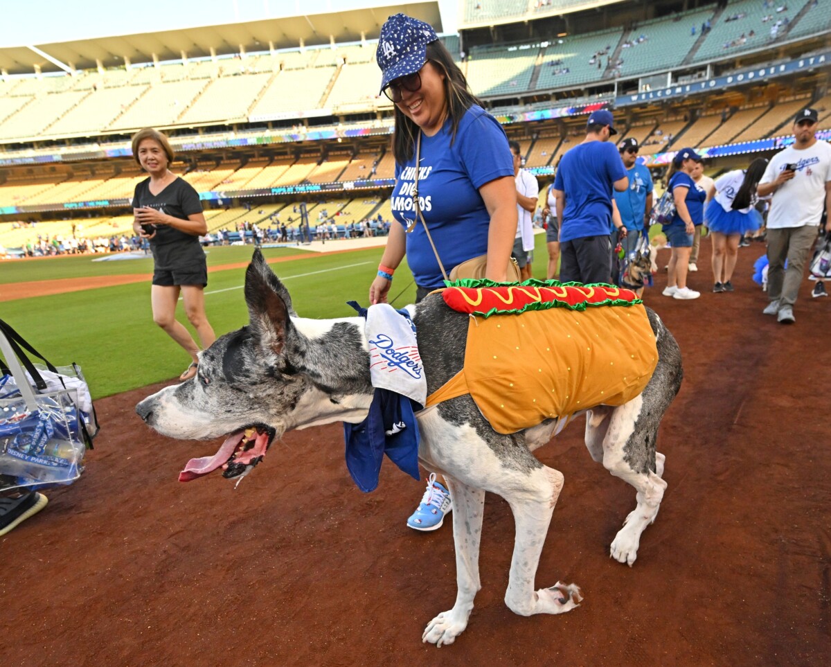 Dodger Stadium Has 7 New Food Items for 2024 Season