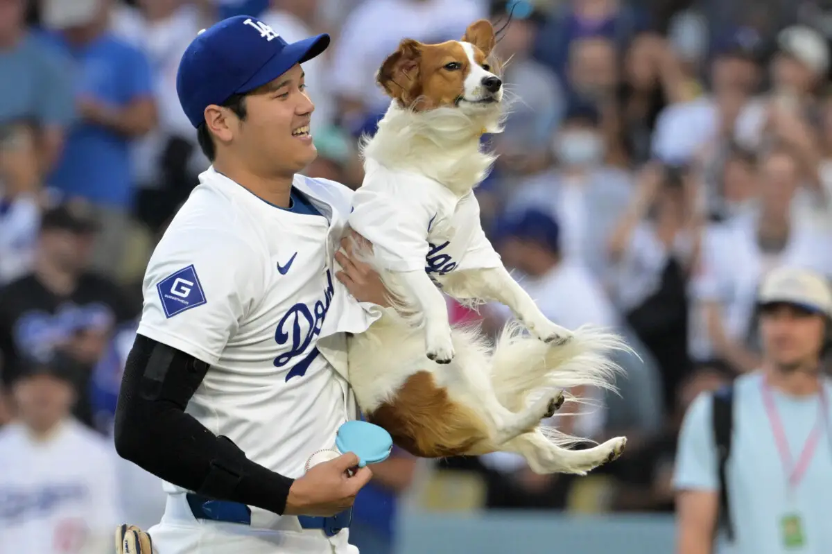 Dodgers Nation Selects Top 10 Plays of The Week