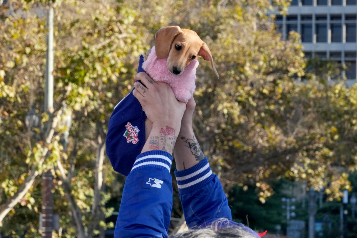 Mandatory Credit: Kirby Lee-Imagn Images